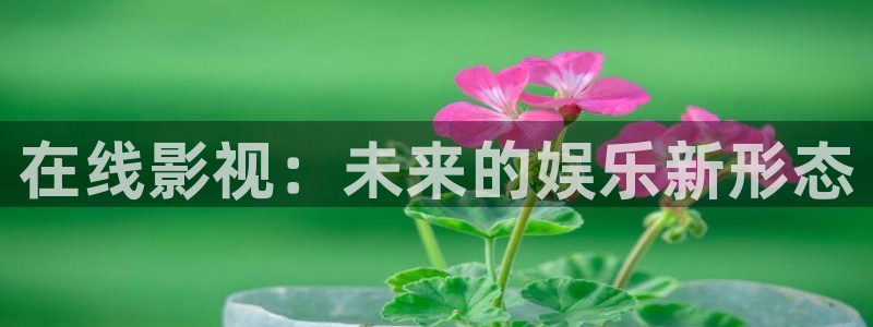 日韩午夜影院在线看